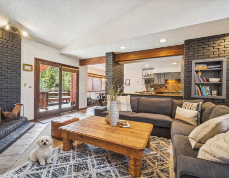 Living room with small white dog sitting on the floor next too fireplace