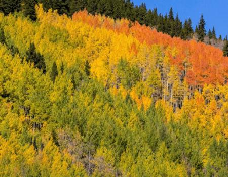 FALL FOLIAGE SCENIC DRIVES AND PHOTO STOPS NEAR BRECKENRIDGE 