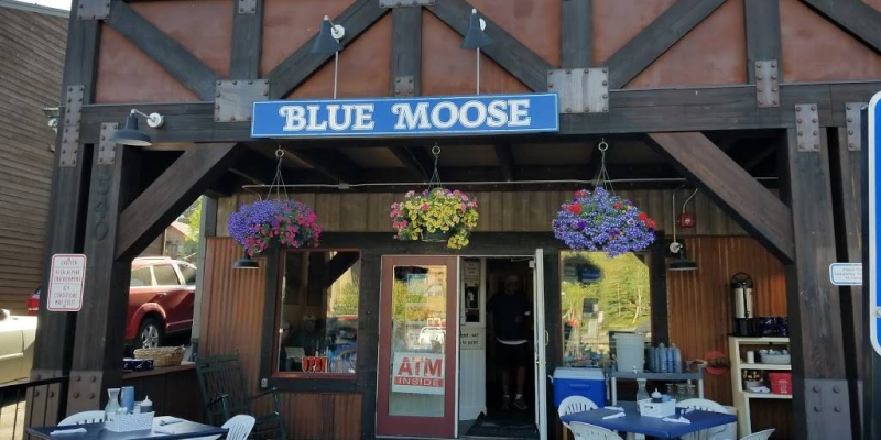 Blue Moose