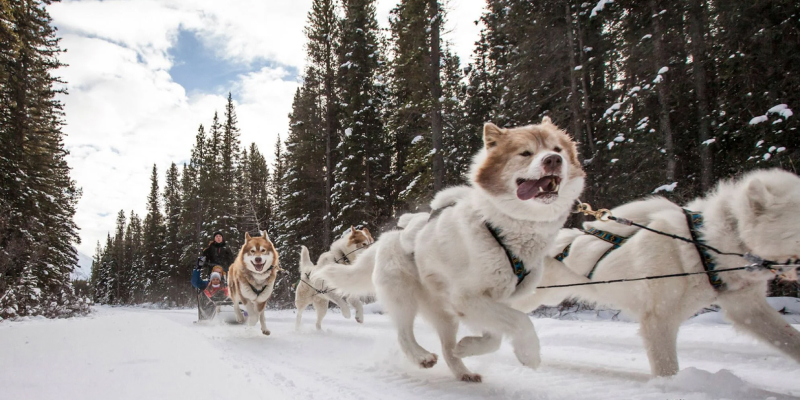 Breckenridge Bucket List