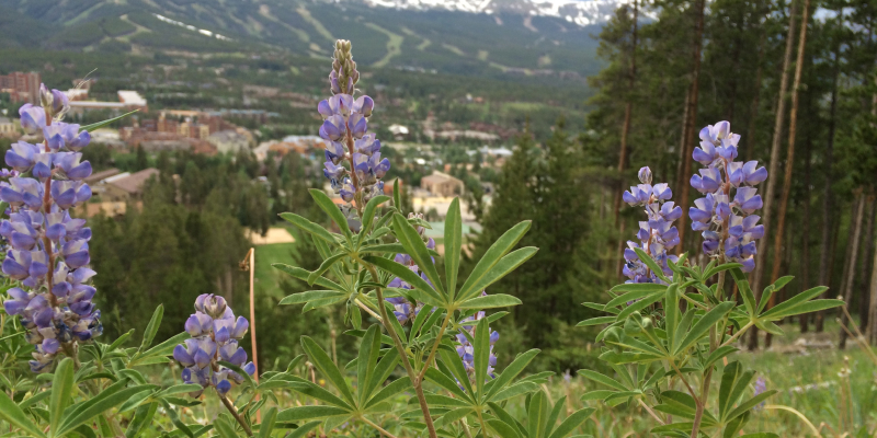 Breckenridge Bucket List